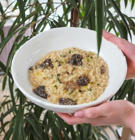 Risotto aux morilles